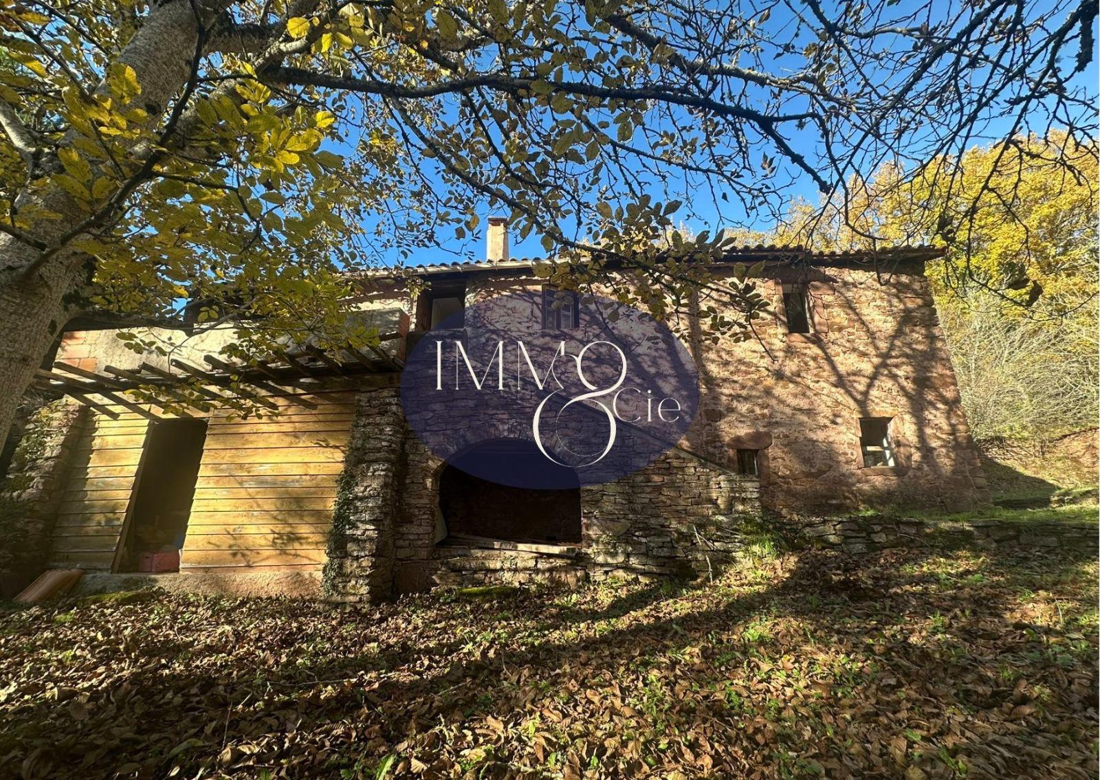 maison 8 pièces - LAVAL-ROQUECEZIERE